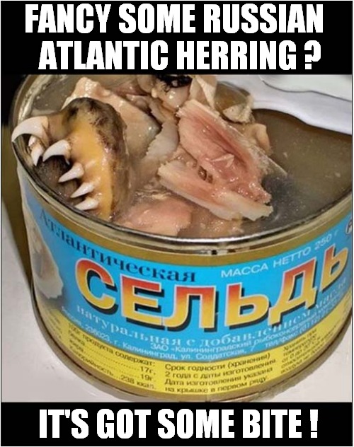 Why Not Try Something New ? | FANCY SOME RUSSIAN   ATLANTIC HERRING ? IT'S GOT SOME BITE ! | image tagged in russian,weird stuff,how about no | made w/ Imgflip meme maker