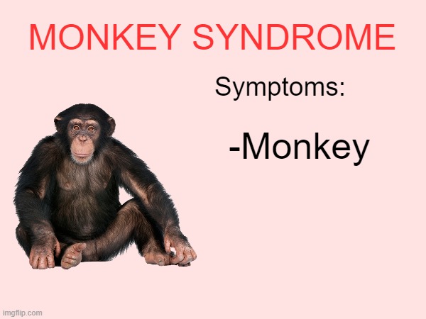 It's not a racist meme, it's called shitpost and it's art | MONKEY SYNDROME; Symptoms:; -Monkey | made w/ Imgflip meme maker