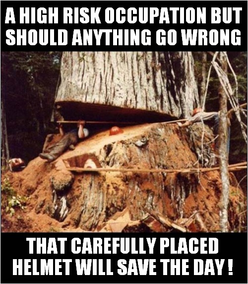 He's A Lumberjack And He's OK ! | A HIGH RISK OCCUPATION BUT
SHOULD ANYTHING GO WRONG; THAT CAREFULLY PLACED HELMET WILL SAVE THE DAY ! | image tagged in lumberjack,safety,squashing,dark humour | made w/ Imgflip meme maker