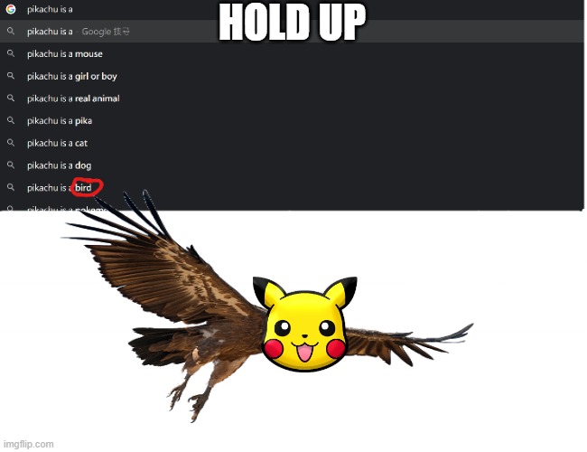 pikachu is a BIRD?!?!?! | HOLD UP | image tagged in pikachu is a | made w/ Imgflip meme maker