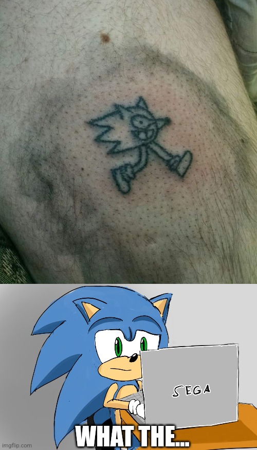 SONIC IS DISAPPOINTED | WHAT THE... | image tagged in sonic the hedgehog,sonic,tattoos,bad tattoos | made w/ Imgflip meme maker