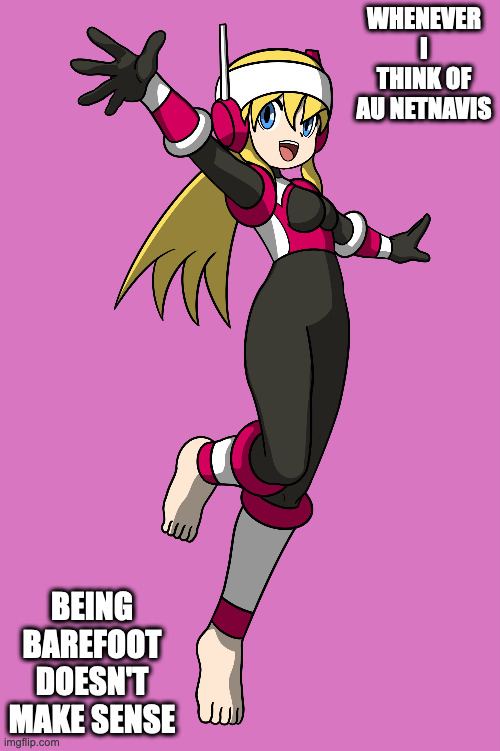 Shin Variable Roll.EXE | WHENEVER I THINK OF AU NETNAVIS; BEING BAREFOOT DOESN'T MAKE SENSE | image tagged in rollexe,megaman,megaman battle network,memes | made w/ Imgflip meme maker