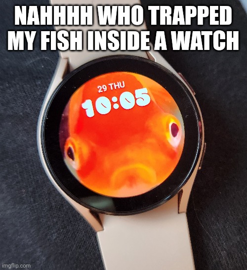 NAHHHH WHO TRAPPED MY FISH INSIDE A WATCH | made w/ Imgflip meme maker