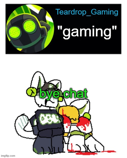 Teardrop_Gaming template | bye chat | image tagged in teardrop_gaming template | made w/ Imgflip meme maker