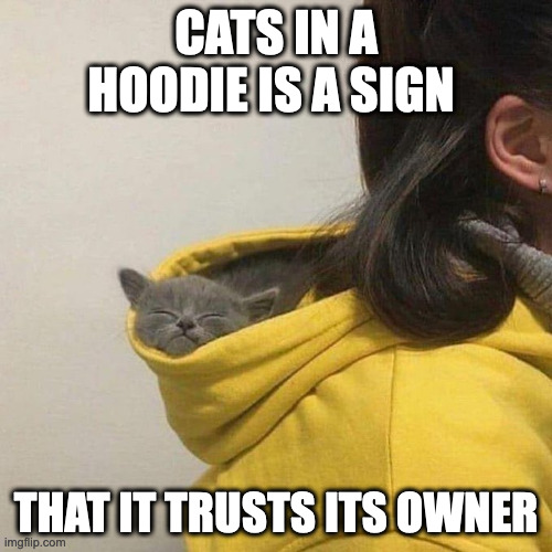 Cat in Hoodie | CATS IN A HOODIE IS A SIGN; THAT IT TRUSTS ITS OWNER | image tagged in cats,hoodie,memes | made w/ Imgflip meme maker