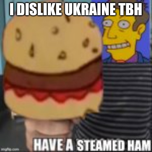 Have a steamed ham | I DISLIKE UKRAINE TBH | image tagged in have a steamed ham | made w/ Imgflip meme maker