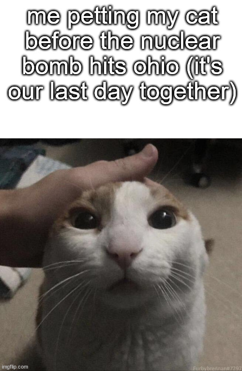 me petting my cat | me petting my cat before the nuclear bomb hits ohio (it's our last day together) | image tagged in me petting my cat | made w/ Imgflip meme maker