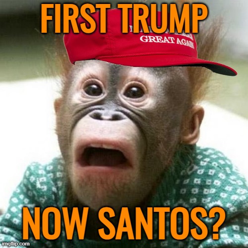 Shocked Monkey | FIRST TRUMP NOW SANTOS? | image tagged in shocked monkey | made w/ Imgflip meme maker
