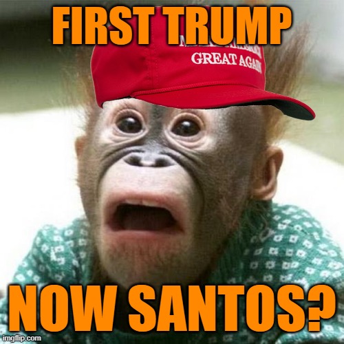 Shocked Monkey | FIRST TRUMP NOW SANTOS? | image tagged in shocked monkey | made w/ Imgflip meme maker