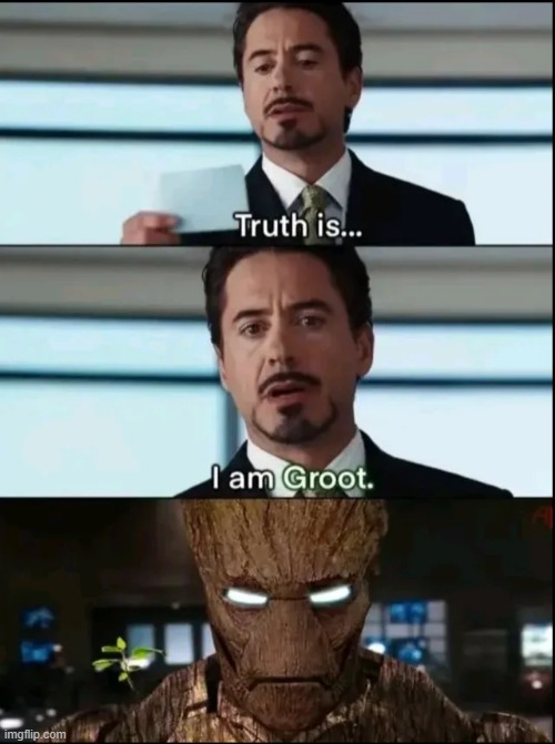 In Some Other Multiverse | image tagged in groot,iron man | made w/ Imgflip meme maker