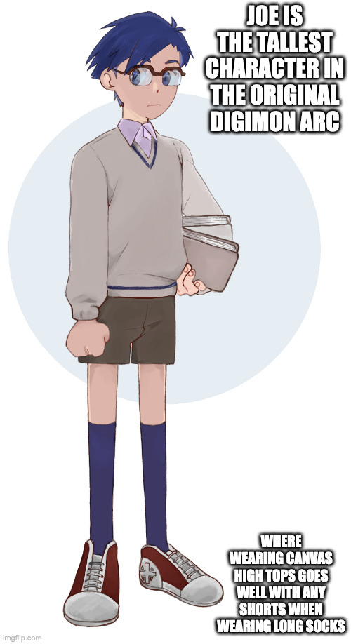 Student Joe Kido | JOE IS THE TALLEST CHARACTER IN THE ORIGINAL DIGIMON ARC; WHERE WEARING CANVAS HIGH TOPS GOES WELL WITH ANY SHORTS WHEN WEARING LONG SOCKS | image tagged in digimon,joe kido,memes | made w/ Imgflip meme maker