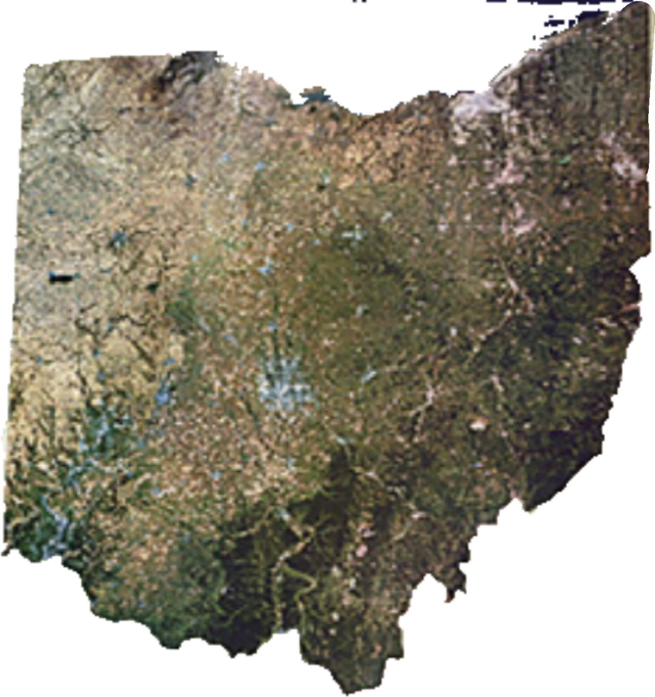 Ohio Blank Meme Template