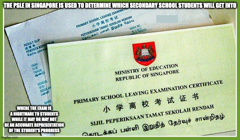 Singapore PSLE | THE PSLE IN SINGAPORE IS USED TO DETERMINE WHICH SECONDARY SCHOOL STUDENTS WILL GET INTO; WHERE THE EXAM IS A NIGHTMARE TO STUDENTS WHILE IT MAY OR MAY NOT BE AN ACCURATE REPRESENTATION OF THE STUDENT'S PROGRESS | image tagged in exam,school,memes | made w/ Imgflip meme maker