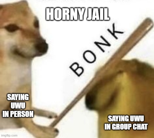 Bonk | HORNY JAIL; SAYING UWU IN PERSON; SAYING UWU IN GROUP CHAT | image tagged in bonk | made w/ Imgflip meme maker