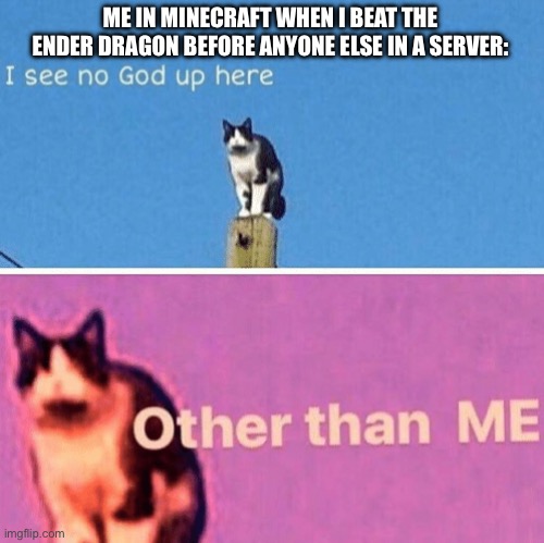 Me in Minecraft in a nutshell | ME IN MINECRAFT WHEN I BEAT THE ENDER DRAGON BEFORE ANYONE ELSE IN A SERVER: | image tagged in hail pole cat | made w/ Imgflip meme maker