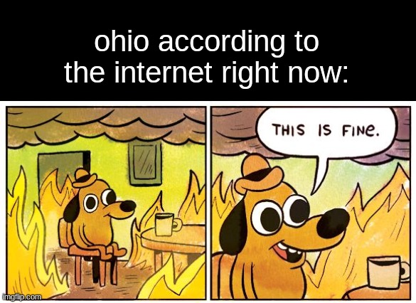 ohio be like | ohio according to the internet right now: | image tagged in memes,this is fine,ohio,usa | made w/ Imgflip meme maker
