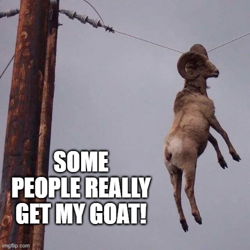 Goat | SOME PEOPLE REALLY GET MY GOAT! | image tagged in goat | made w/ Imgflip meme maker