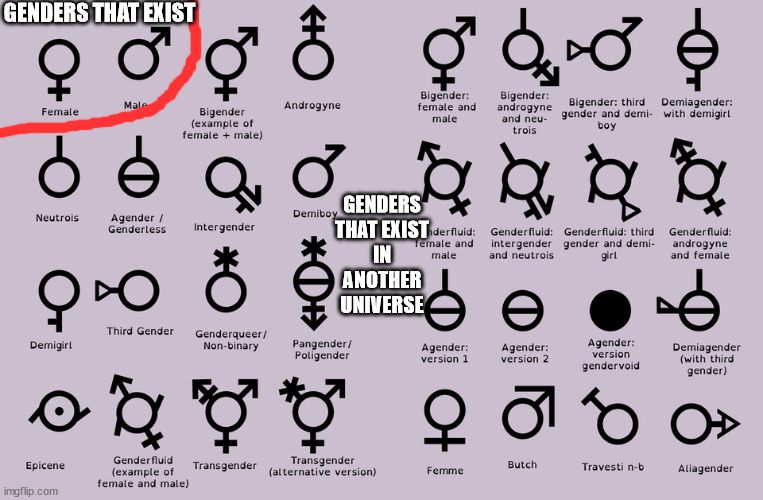 gender chart | GENDERS THAT EXIST; GENDERS THAT EXIST IN ANOTHER UNIVERSE | image tagged in gender chart | made w/ Imgflip meme maker