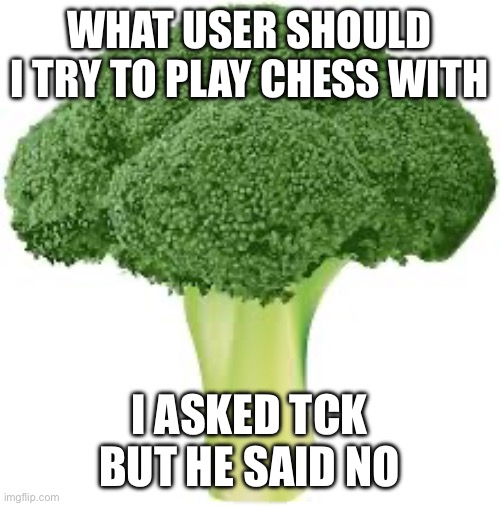 Idk why I’m doing this | WHAT USER SHOULD I TRY TO PLAY CHESS WITH; I ASKED TCK BUT HE SAID NO | made w/ Imgflip meme maker