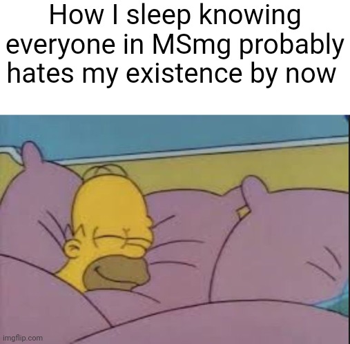 how i sleep homer simpson | How I sleep knowing everyone in MSmg probably hates my existence by now | image tagged in how i sleep homer simpson | made w/ Imgflip meme maker