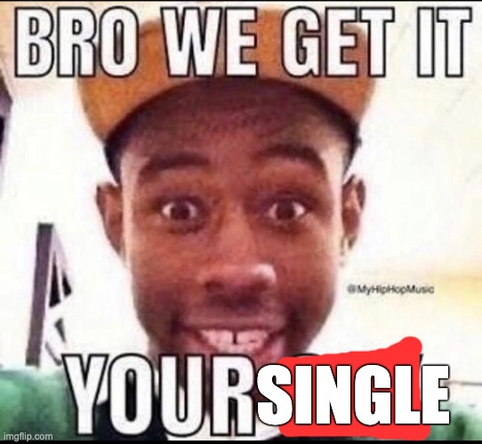 BRO WE GET IT YOU'RE GAY | SINGLE | image tagged in bro we get it you're gay | made w/ Imgflip meme maker