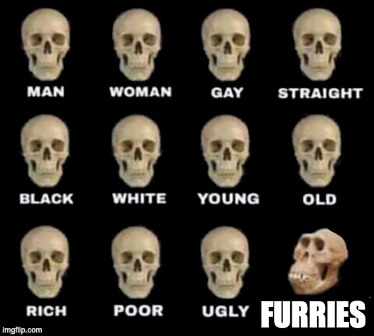 idiot skull | FURRIES | image tagged in idiot skull | made w/ Imgflip meme maker
