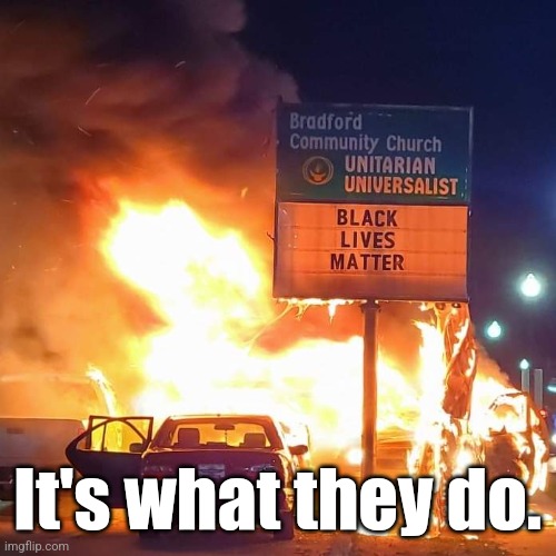 Black Lives Matter | It's what they do. | image tagged in black lives matter | made w/ Imgflip meme maker