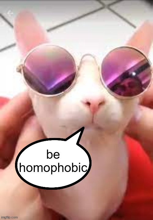 cool bingus | be homophobic | image tagged in cool bingus | made w/ Imgflip meme maker