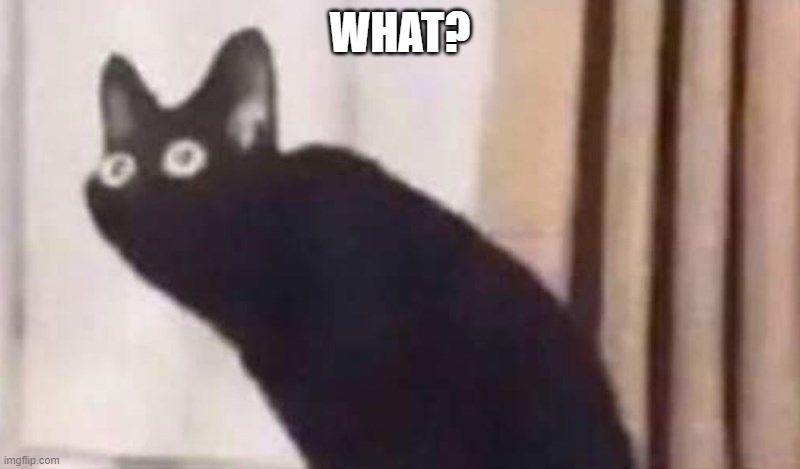 What? | WHAT? | image tagged in memes | made w/ Imgflip meme maker