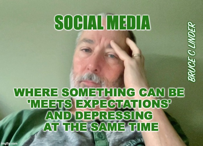 Social Media | SOCIAL MEDIA; BRUCE C LINDER; WHERE SOMETHING CAN BE 
'MEETS EXPECTATIONS' 
AND DEPRESSING 
AT THE SAME TIME | image tagged in social media,meets expectations,depressing | made w/ Imgflip meme maker