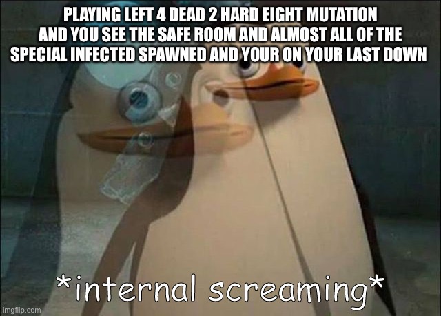 Private Internal Screaming | PLAYING LEFT 4 DEAD 2 HARD EIGHT MUTATION AND YOU SEE THE SAFE ROOM AND ALMOST ALL OF THE SPECIAL INFECTED SPAWNED AND YOUR ON YOUR LAST DOWN | image tagged in private internal screaming | made w/ Imgflip meme maker