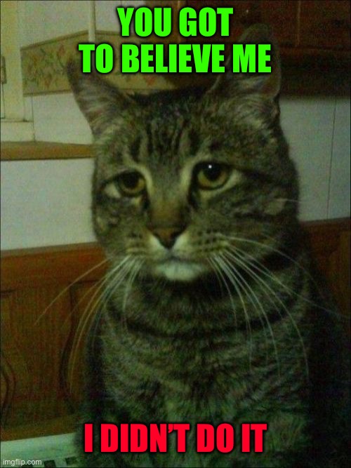 Depressed Cat |  YOU GOT TO BELIEVE ME; I DIDN’T DO IT | image tagged in memes,depressed cat | made w/ Imgflip meme maker