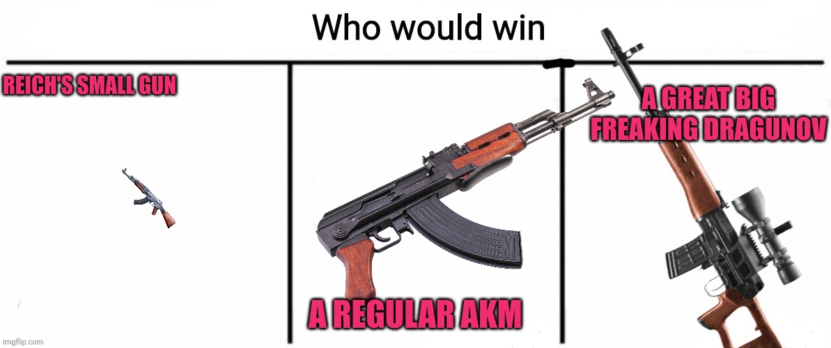 3x who would win | REICH'S SMALL GUN A REGULAR AKM A GREAT BIG FREAKING DRAGUNOV | image tagged in 3x who would win | made w/ Imgflip meme maker