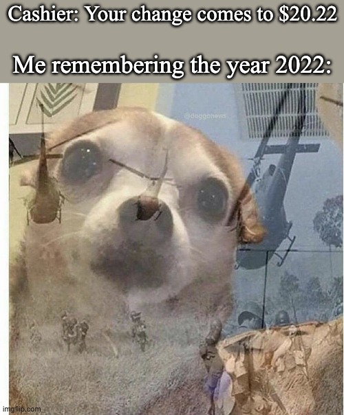 It's been a really shitty year | Cashier: Your change comes to $20.22; Me remembering the year 2022: | image tagged in ptsd chihuahua | made w/ Imgflip meme maker