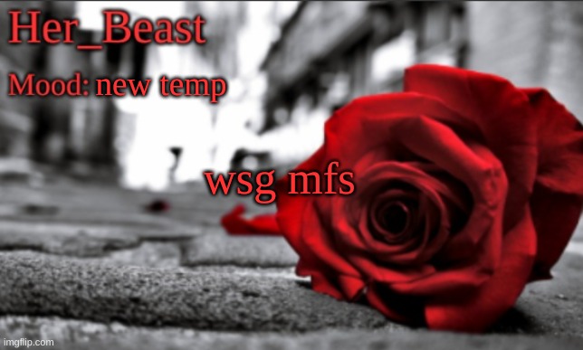 Her_Beast announce | new temp; wsg mfs | image tagged in her_beast announce | made w/ Imgflip meme maker