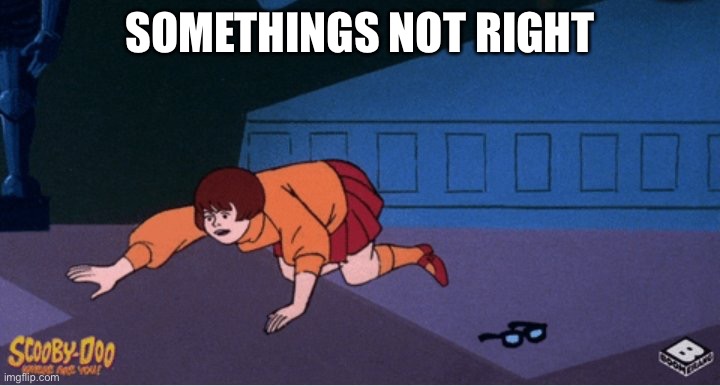 Velma and glasses | SOMETHINGS NOT RIGHT | image tagged in velma and glasses | made w/ Imgflip meme maker