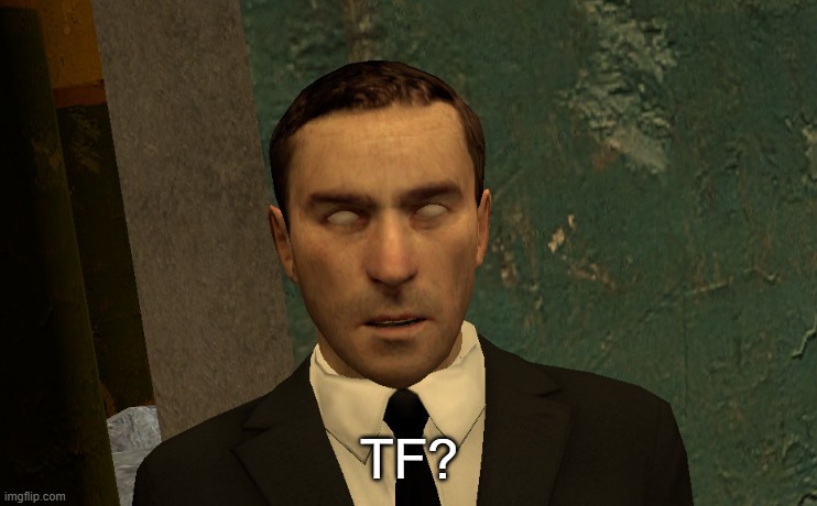 What? | TF? | image tagged in wtf,gmod,garry's mod,disgusted face,disgusted | made w/ Imgflip meme maker