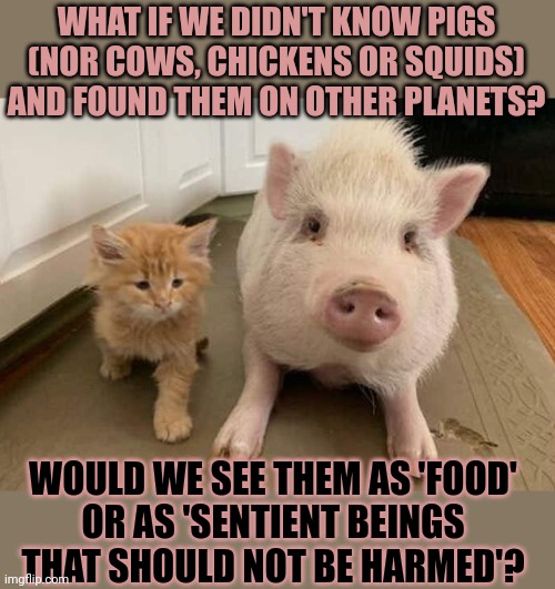 WHAT IF WE DIDN'T KNOW PIGS
(NOR COWS, CHICKENS OR SQUIDS)
AND FOUND THEM ON OTHER PLANETS? WOULD WE SEE THEM AS 'FOOD'
OR AS 'SENTIENT BEINGS
THAT SHOULD NOT BE HARMED'? | made w/ Imgflip meme maker