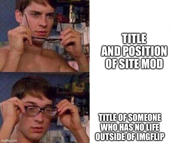 Spiderman Glasses | TITLE AND POSITION OF SITE MOD; TITLE OF SOMEONE WHO HAS NO LIFE OUTSIDE OF IMGFLIP | image tagged in spiderman glasses | made w/ Imgflip meme maker