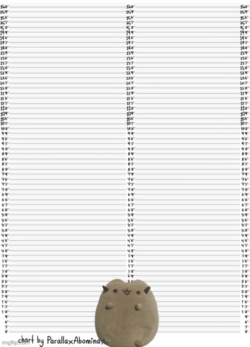 Character height template | image tagged in character height template | made w/ Imgflip meme maker