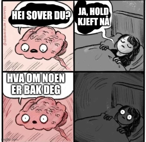 Jeg tenker alltid på dette før jeg sovner | HEI SOVER DU? JA, HOLD KJEFT NÅ; HVA OM NOEN ER BAK DEG | image tagged in hey are you sleeping,language,memes | made w/ Imgflip meme maker