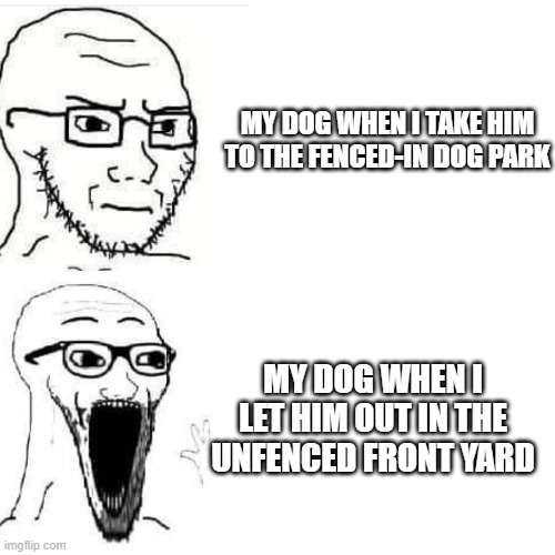 Dog Park | MY DOG WHEN I TAKE HIM TO THE FENCED-IN DOG PARK; MY DOG WHEN I LET HIM OUT IN THE UNFENCED FRONT YARD | image tagged in soyjack not impressed soyjack impressed,dog park | made w/ Imgflip meme maker