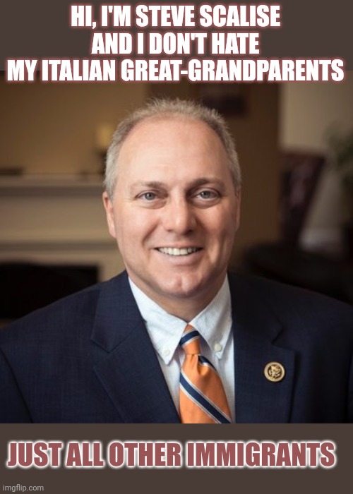 Why do so many immigrants hate immigrants? | HI, I'M STEVE SCALISE
AND I DON'T HATE
MY ITALIAN GREAT-GRANDPARENTS; JUST ALL OTHER IMMIGRANTS | image tagged in illegal immigration,immigration,conservative hypocrisy,think about it,double standards | made w/ Imgflip meme maker