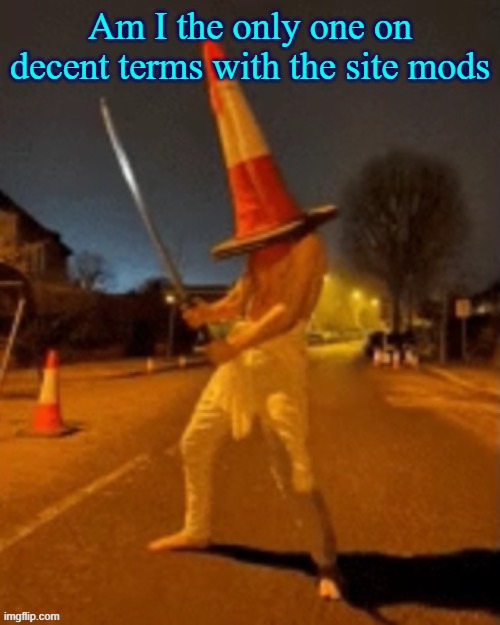 Cone man | Am I the only one on decent terms with the site mods | image tagged in cone man | made w/ Imgflip meme maker