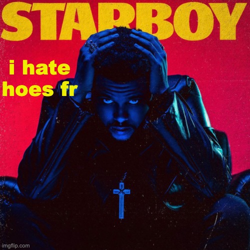 starboy. | i hate hoes fr | image tagged in starboy | made w/ Imgflip meme maker