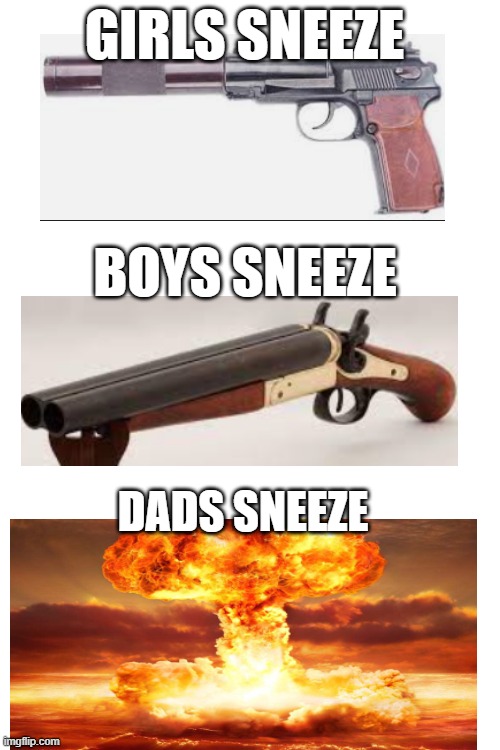 trudo | GIRLS SNEEZE; BOYS SNEEZE; DADS SNEEZE | image tagged in blank white template | made w/ Imgflip meme maker