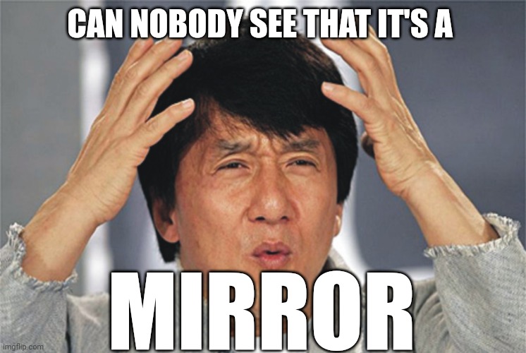 Jackie Chan Confused | CAN NOBODY SEE THAT IT'S A MIRROR | image tagged in jackie chan confused | made w/ Imgflip meme maker