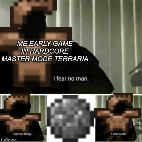 30 minutes of progress gone | ME EARLY GAME IN HARDCORE MASTER MODE TERRARIA | image tagged in i fear no man | made w/ Imgflip meme maker