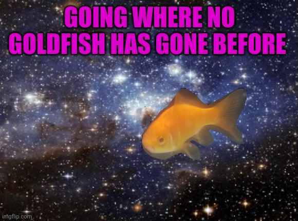 outer space | GOING WHERE NO GOLDFISH HAS GONE BEFORE | image tagged in outer space | made w/ Imgflip meme maker