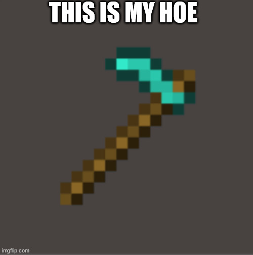 Minecraft Diamond Hoe | THIS IS MY HOE | image tagged in minecraft diamond hoe | made w/ Imgflip meme maker